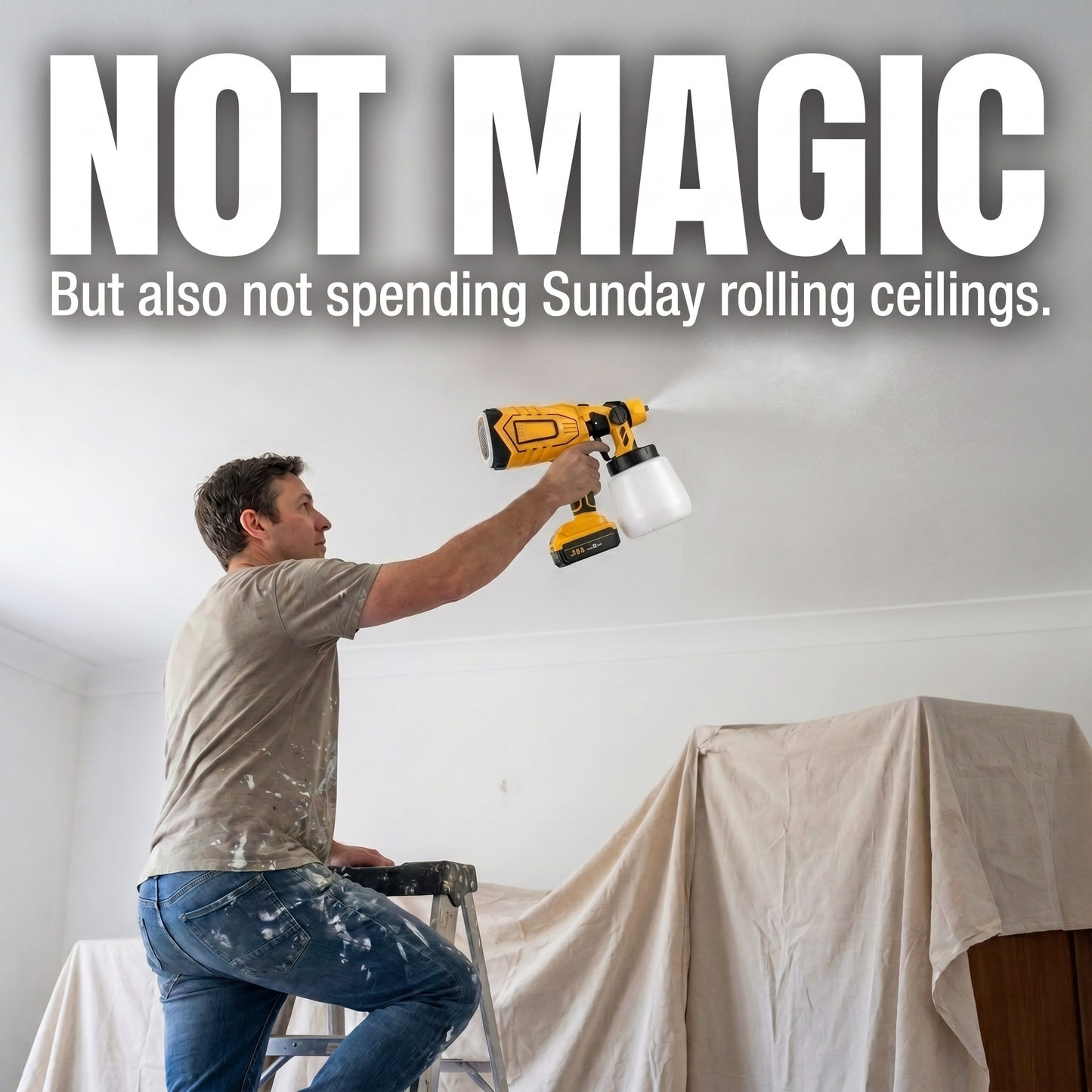 Dewalt Compatible Pro Paint Sprayer + Battery Power Bundle & Accessories